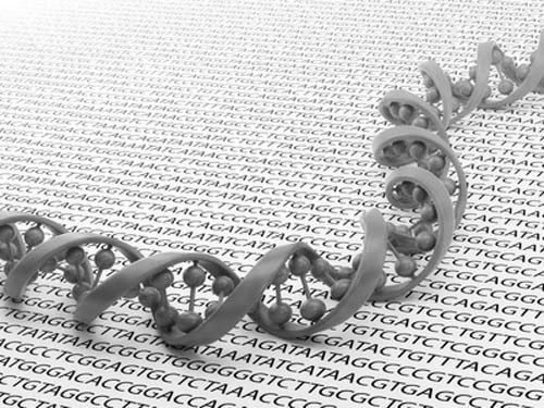 DNA